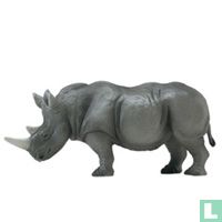 Rhinocéros animaux catalogue