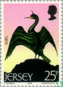 European shag