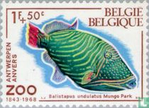 Poisson