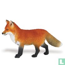 Foxes animals catalogue
