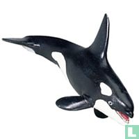 Orcas animals catalogue