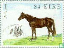 Horses