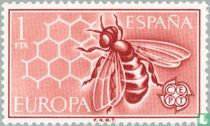 Europa – Honeycomb 