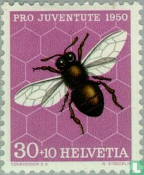 European dark bee