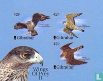 Falcons acheter
