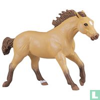 Horses animals catalogue