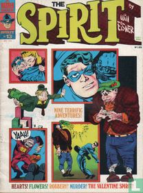 The Spirit 13 kopen