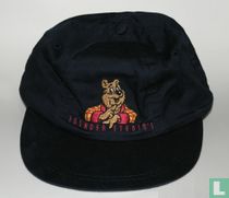 Cap Toonder Studios
