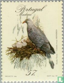 Vögel