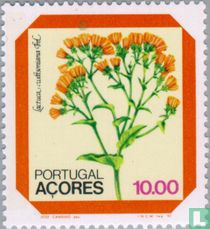 Fleurs