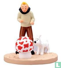 Tintin - The Shooting Star