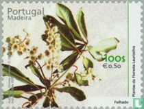 Planten kopen