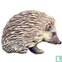 Hedgehogs animals catalogue