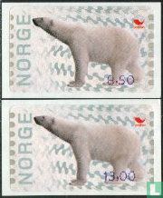 Icebear