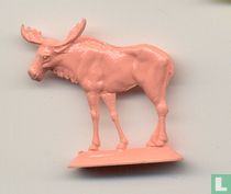 Moose