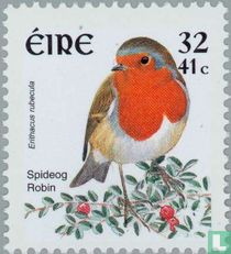 Robin