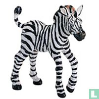 Zebra's tiere katalog