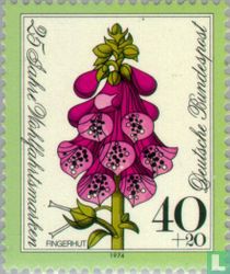Fleurs