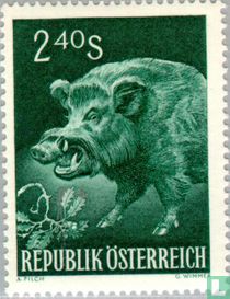 Wild zwijn