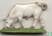 Stier