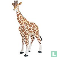 Giraffen dieren (gaat weg) catalogus