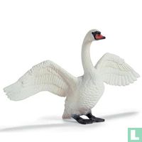 Swans animals catalogue