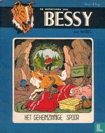 Het geheimzinnige spoor