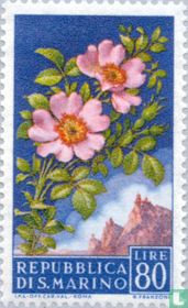 Bloemen