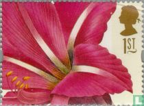 Blumen