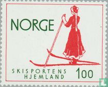 Pays de ski