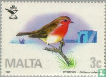 Birds