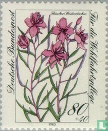 Bloemen kopen