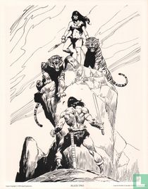 Conan Portfolio