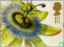 Blumen