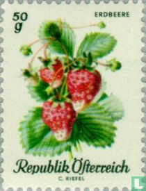 Fruit