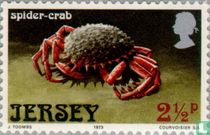 Sea animals