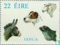 Animal protection
