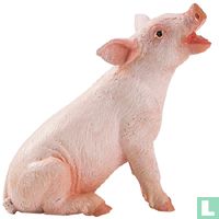 Schweine tiere katalog