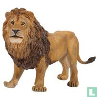 Leeuwen en leeuwinnen dieren (gaat weg) catalogus