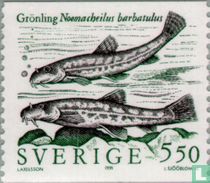 Zeldzame zoetwatervissen 