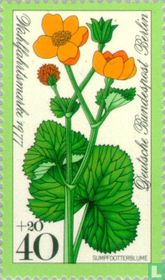 Meadow Flowers for sale