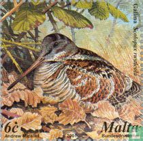 Woodcock
