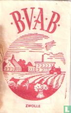 BVAB