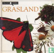 Grasland
