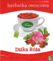 Dzika Róza