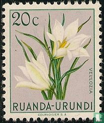 Native flora for sale