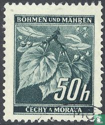 Linden Leaves