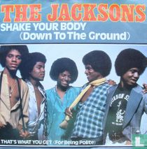 Shake Your Body (Down to the Ground)