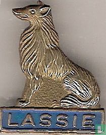 Lassie (entier) [bleu]