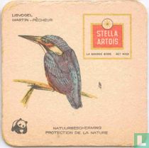 Natuurbescherming Vogels : IJsvogel Martin-pêcheur